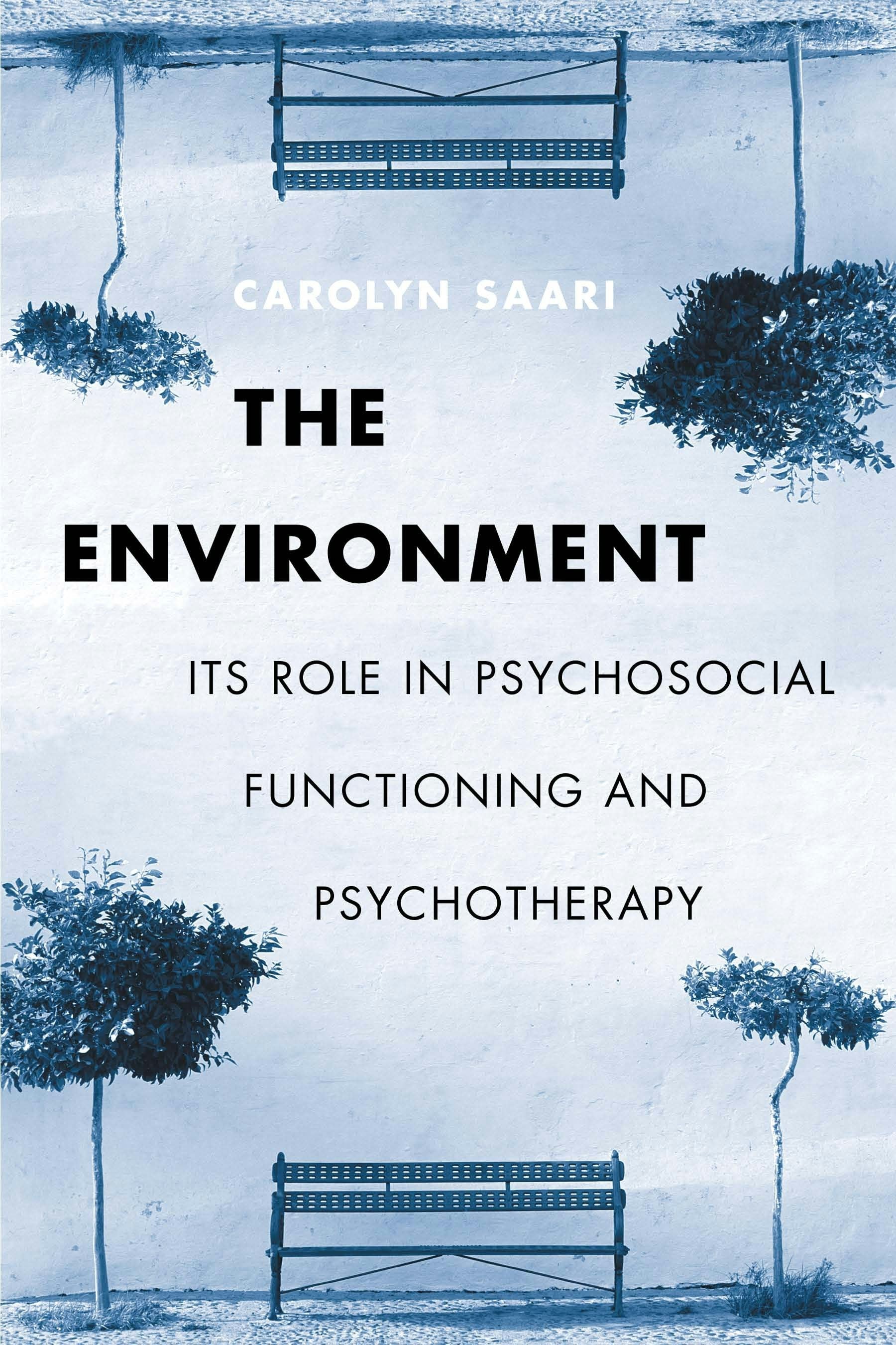 Book cover image for The Environment ISBN: 9780231121965