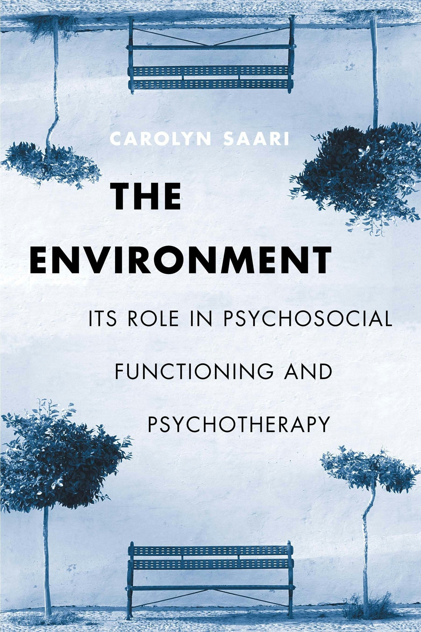 Book cover image for The Environment ISBN: 9780231121972