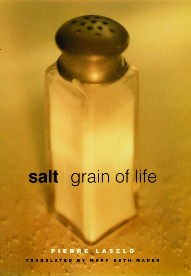 Cover image for Salt, isbn: 9780231121989