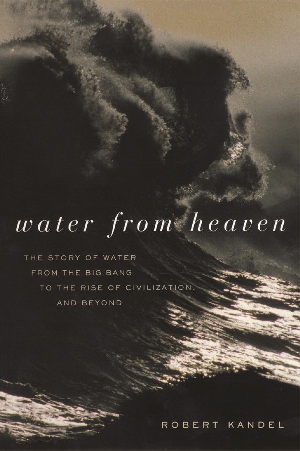 Book cover image for Water from Heaven ISBN: 9780231122443