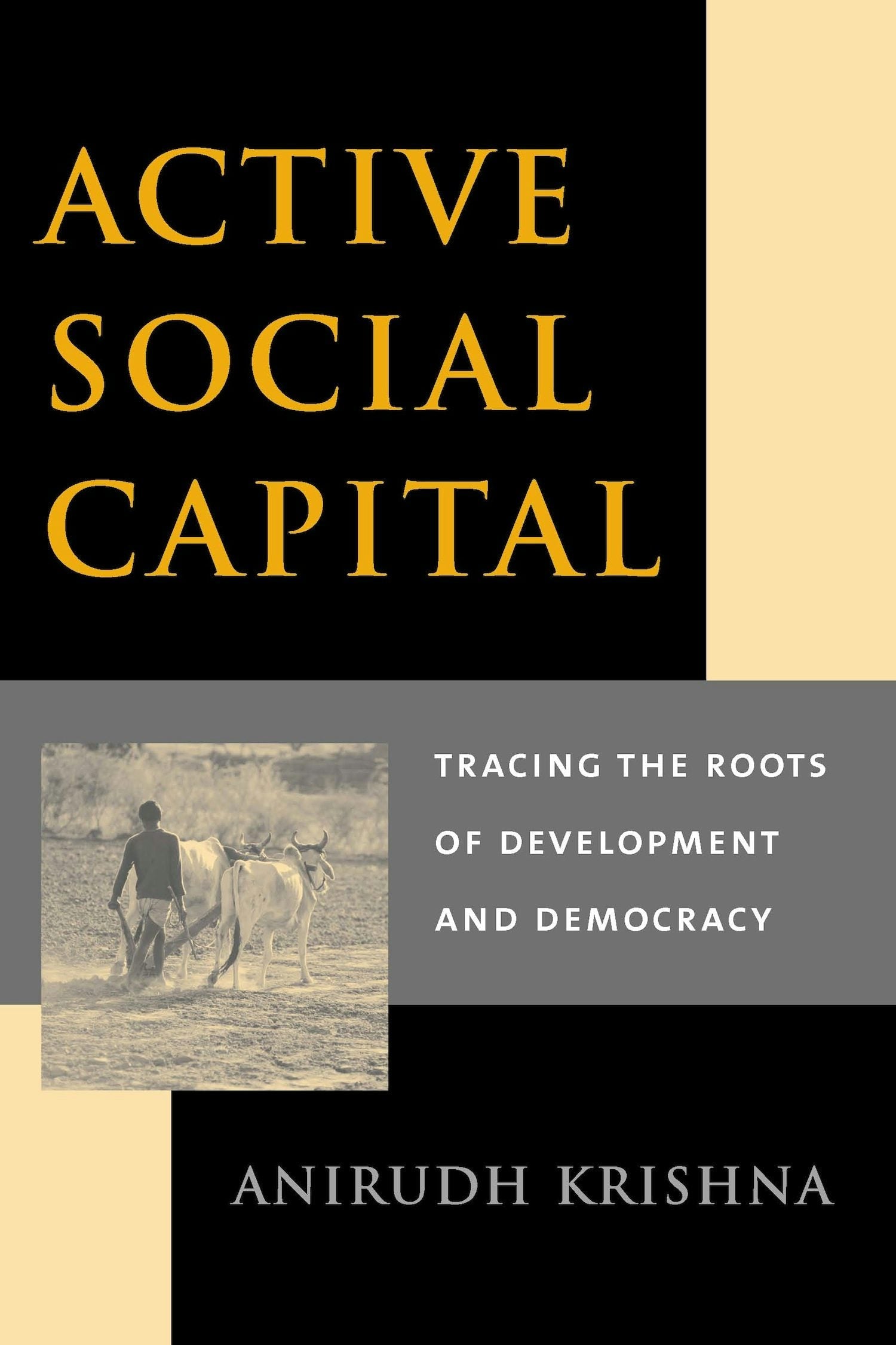 Book cover image for Active Social Capital ISBN: 9780231125710