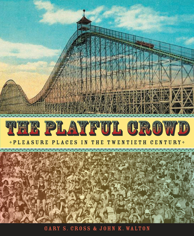 Cover image for The Playful Crowd, isbn: 9780231127240