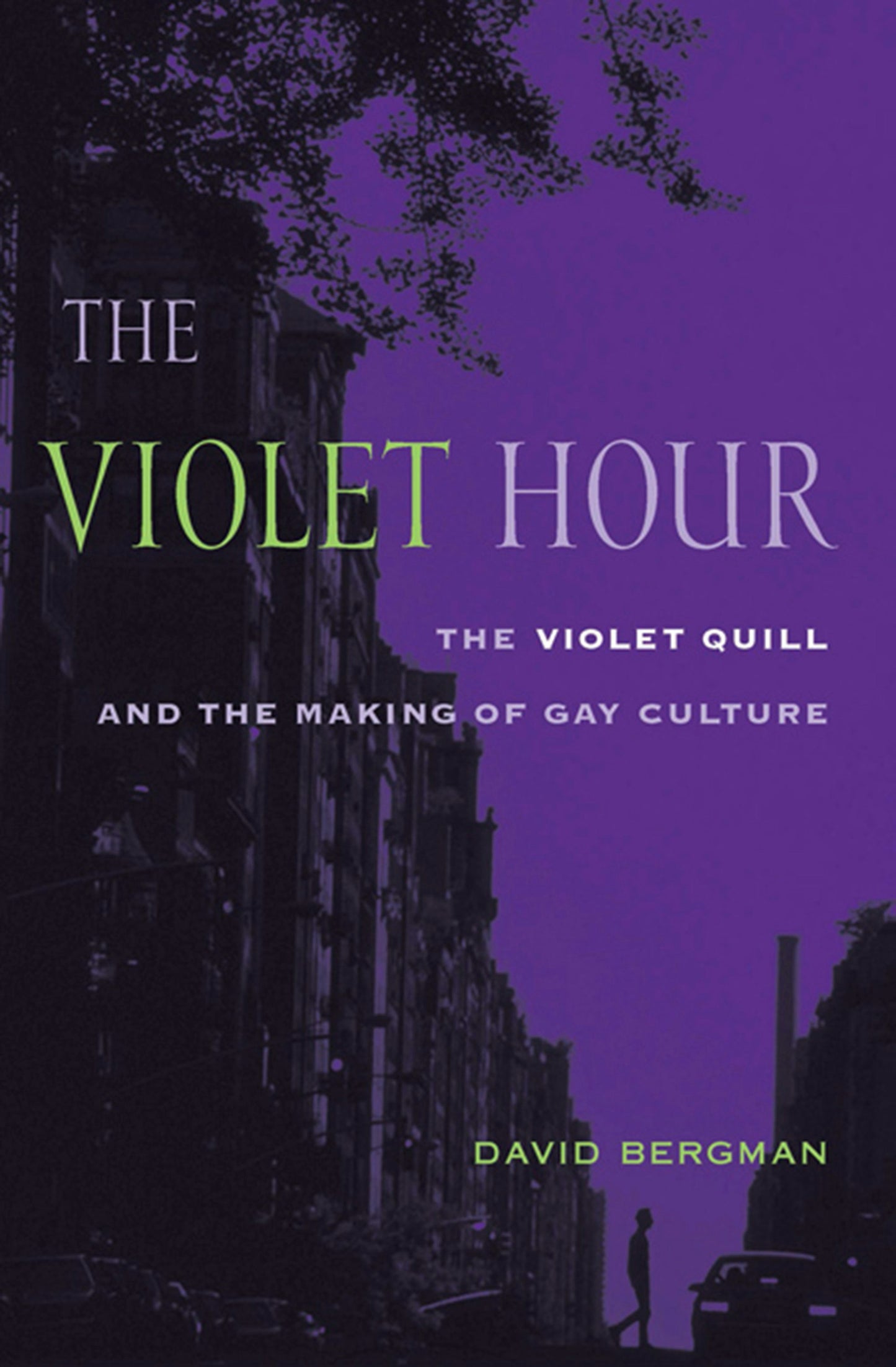 Cover image for The Violet Hour, isbn: 9780231130509