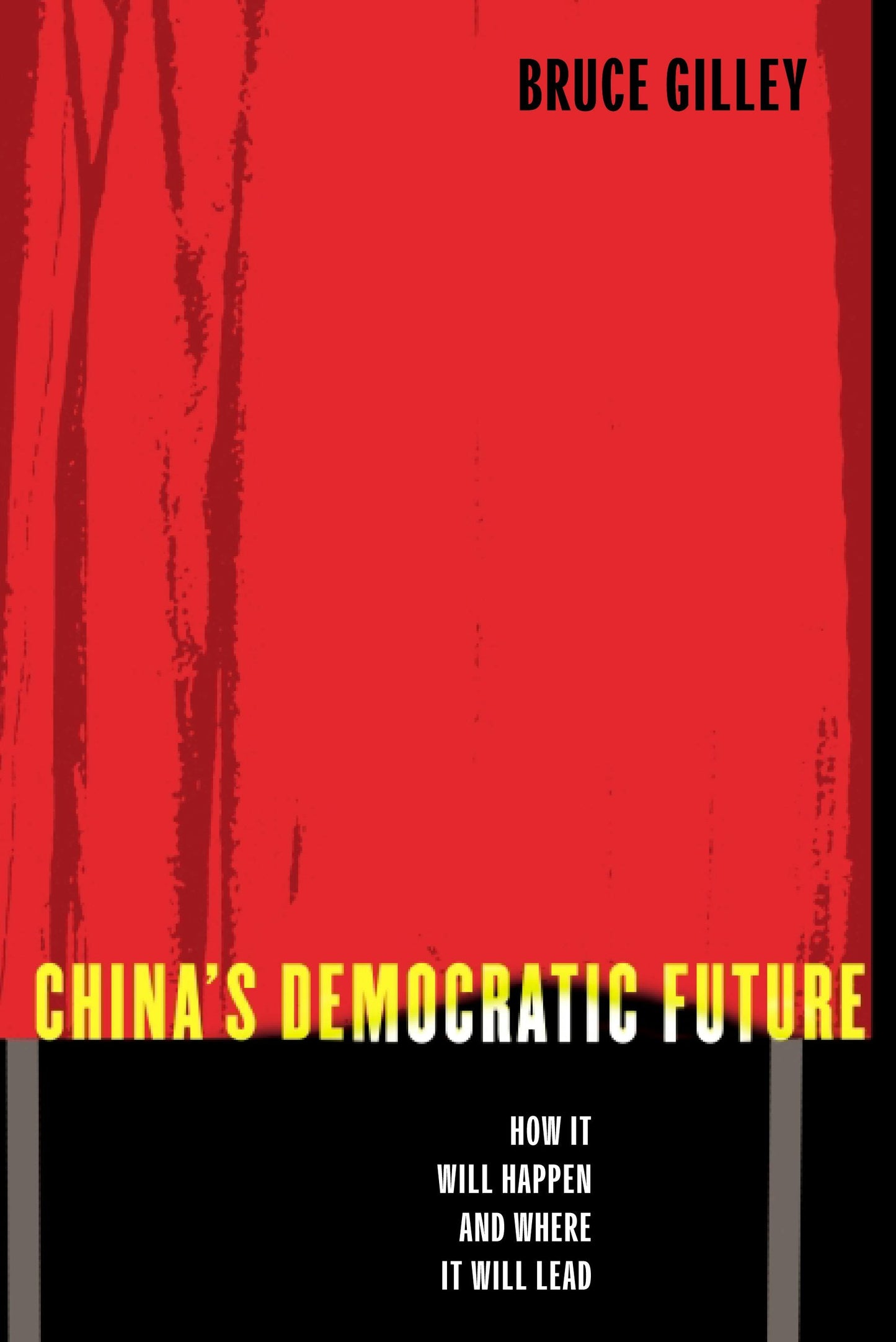 Book cover image for China's Democratic Future ISBN: 9780231130851