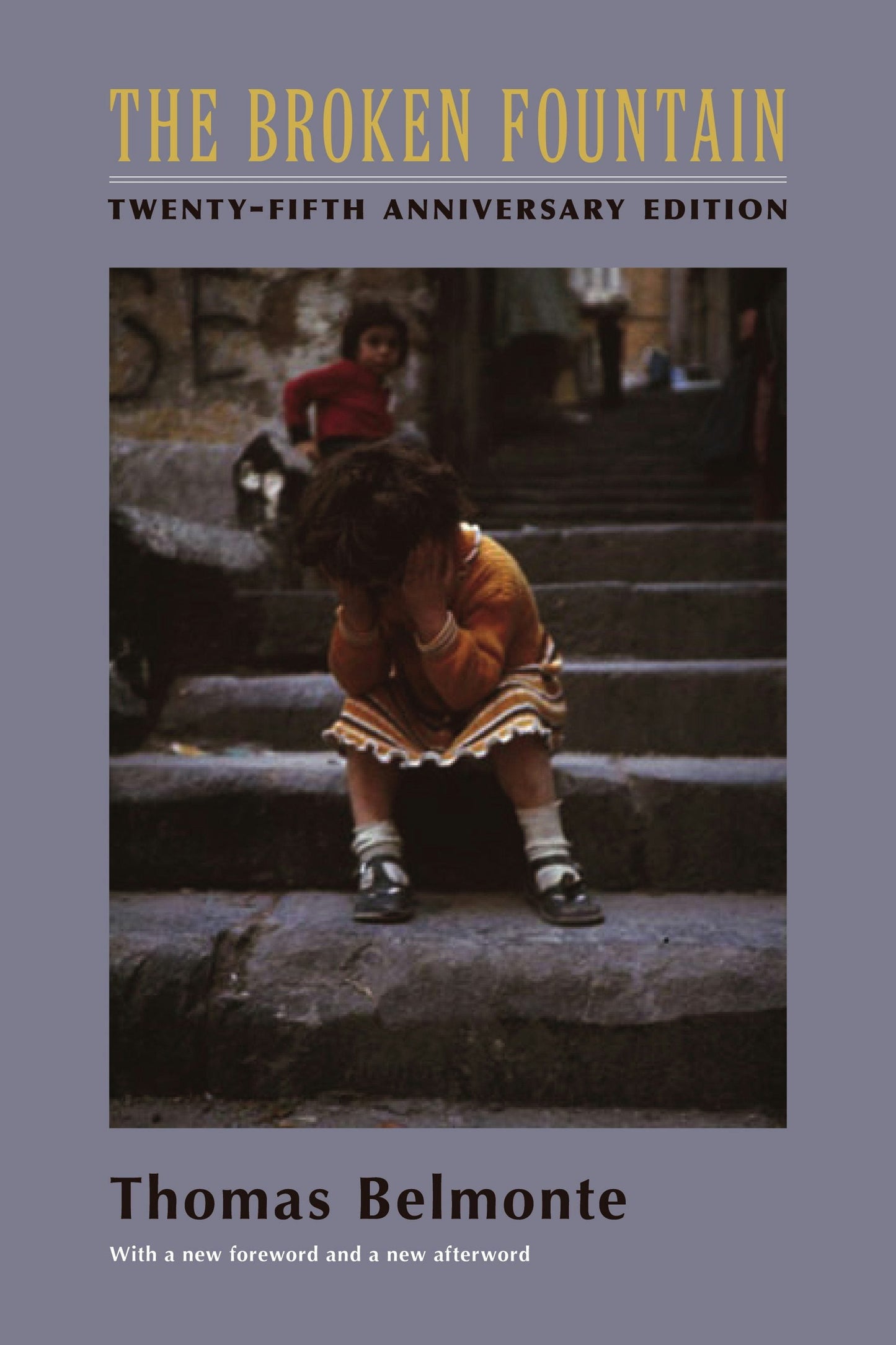 Book cover image for The Broken Fountain ISBN: 9780231133715
