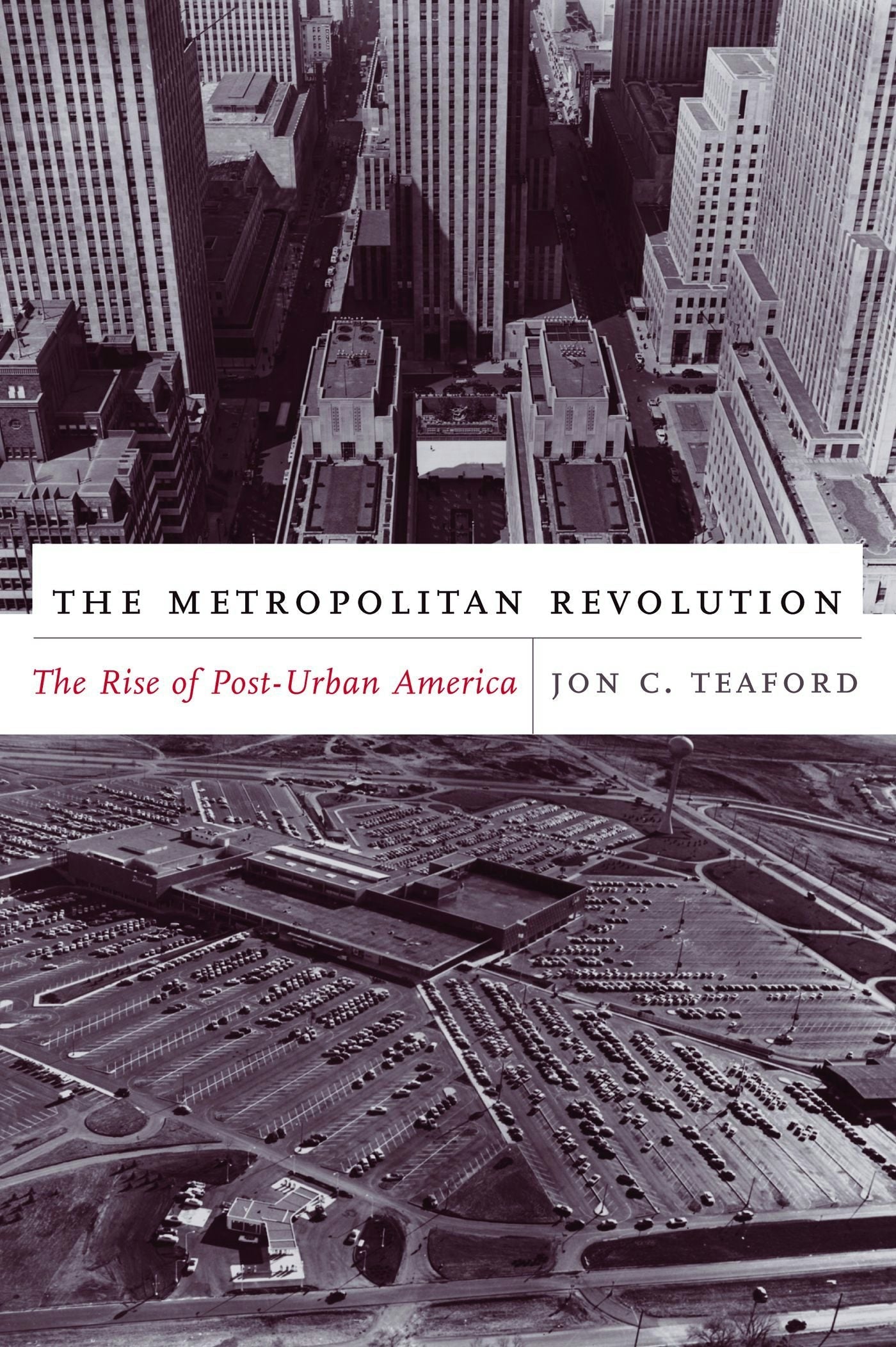 Book cover image for The Metropolitan Revolution ISBN: 9780231133739