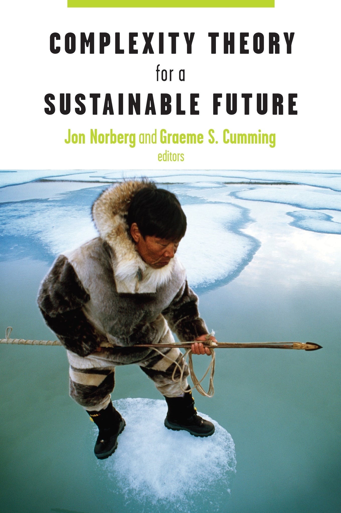 Cover image for Complexity Theory for a Sustainable Future ISBN 9780231134613