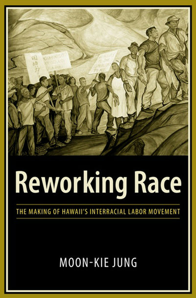Cover image for Reworking Race, isbn: 9780231135351
