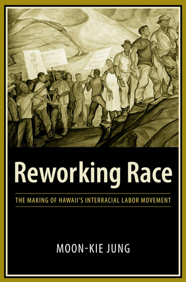 Cover image for Reworking Race, isbn: 9780231135351