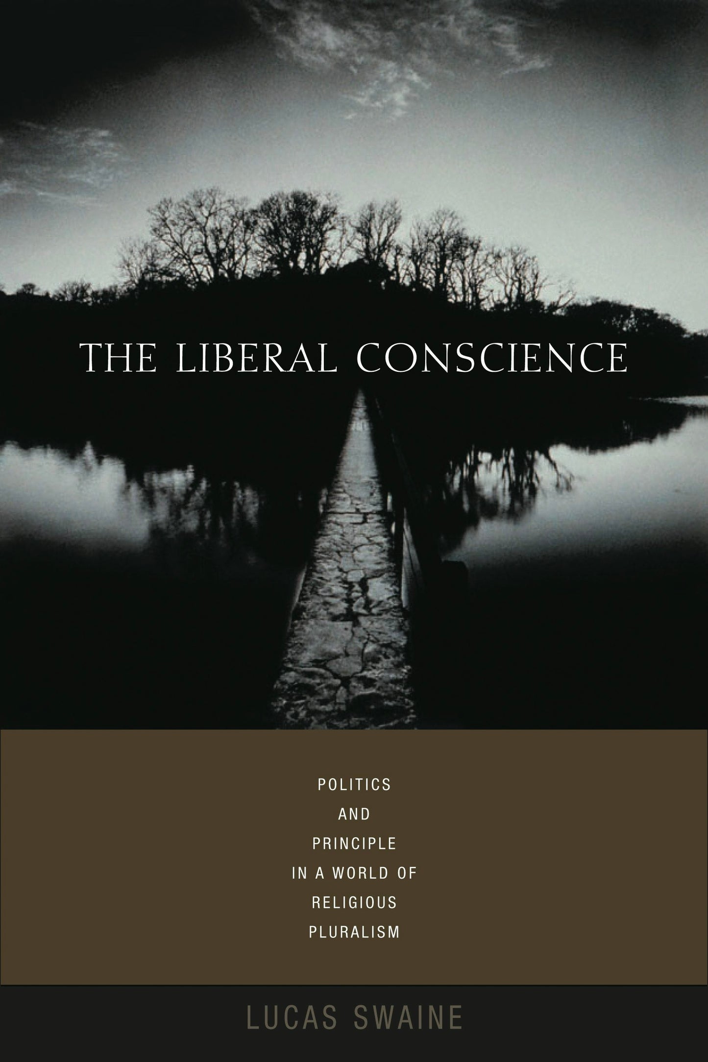 Book cover image for The Liberal Conscience ISBN: 9780231136044