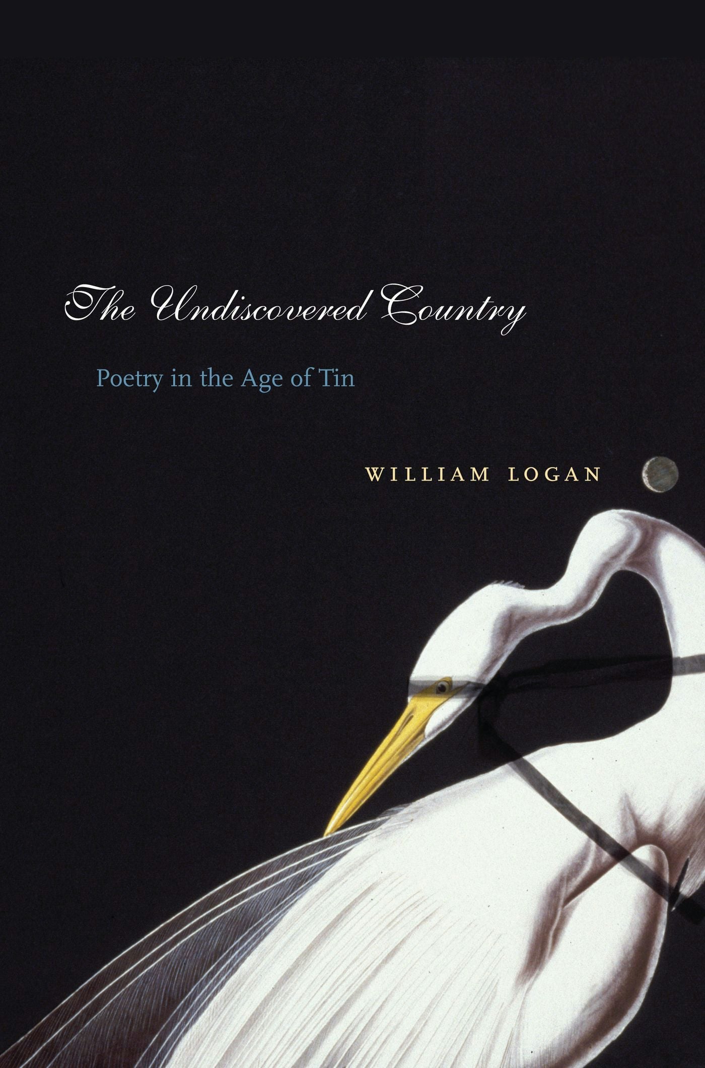 Book cover image for The Undiscovered Country ISBN: 9780231136389