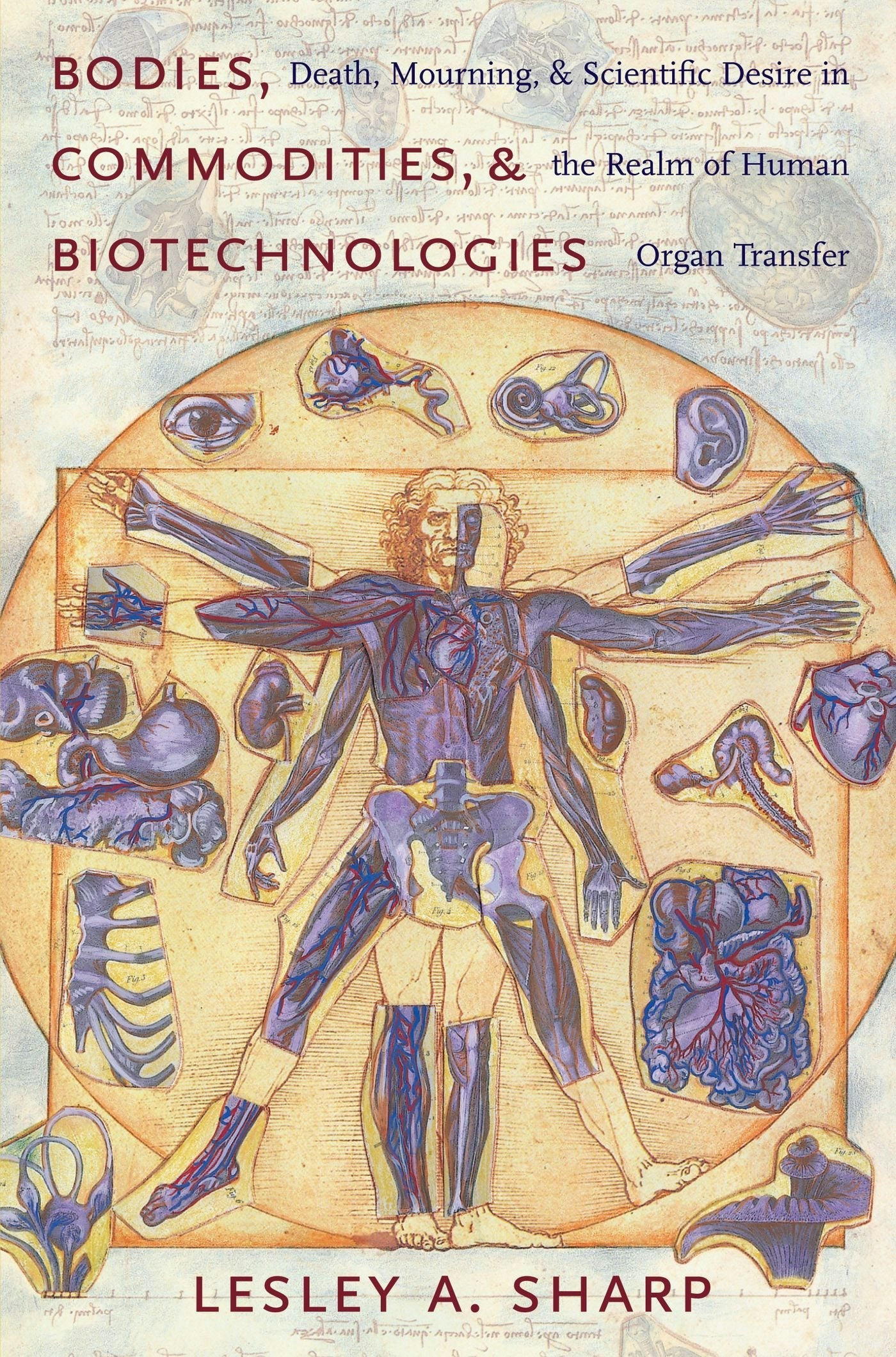 Book cover image for Bodies, Commodities, and Biotechnologies ISBN: 9780231138390