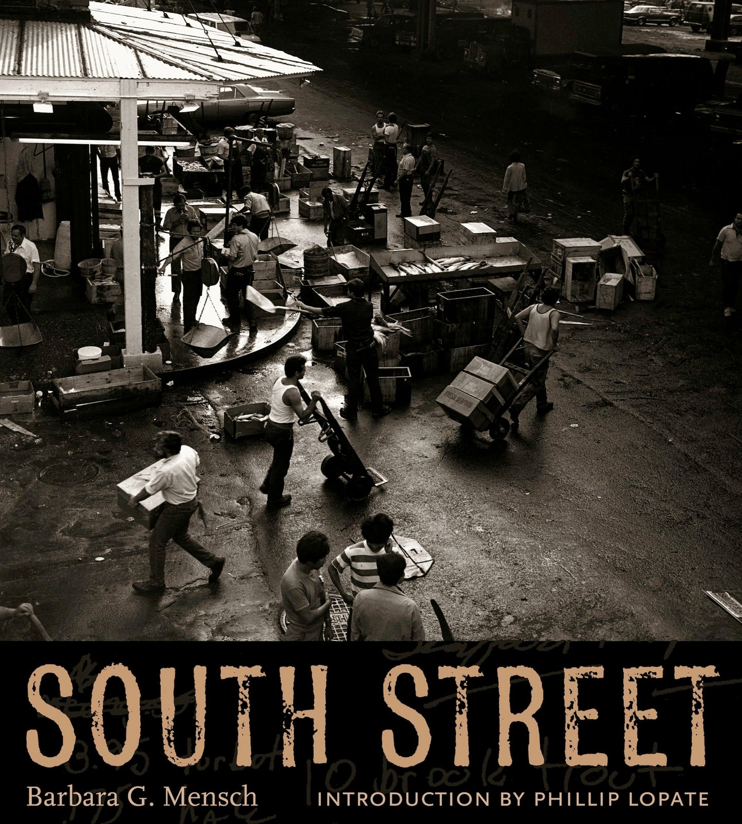 Book cover image for South Street ISBN: 9780231139335
