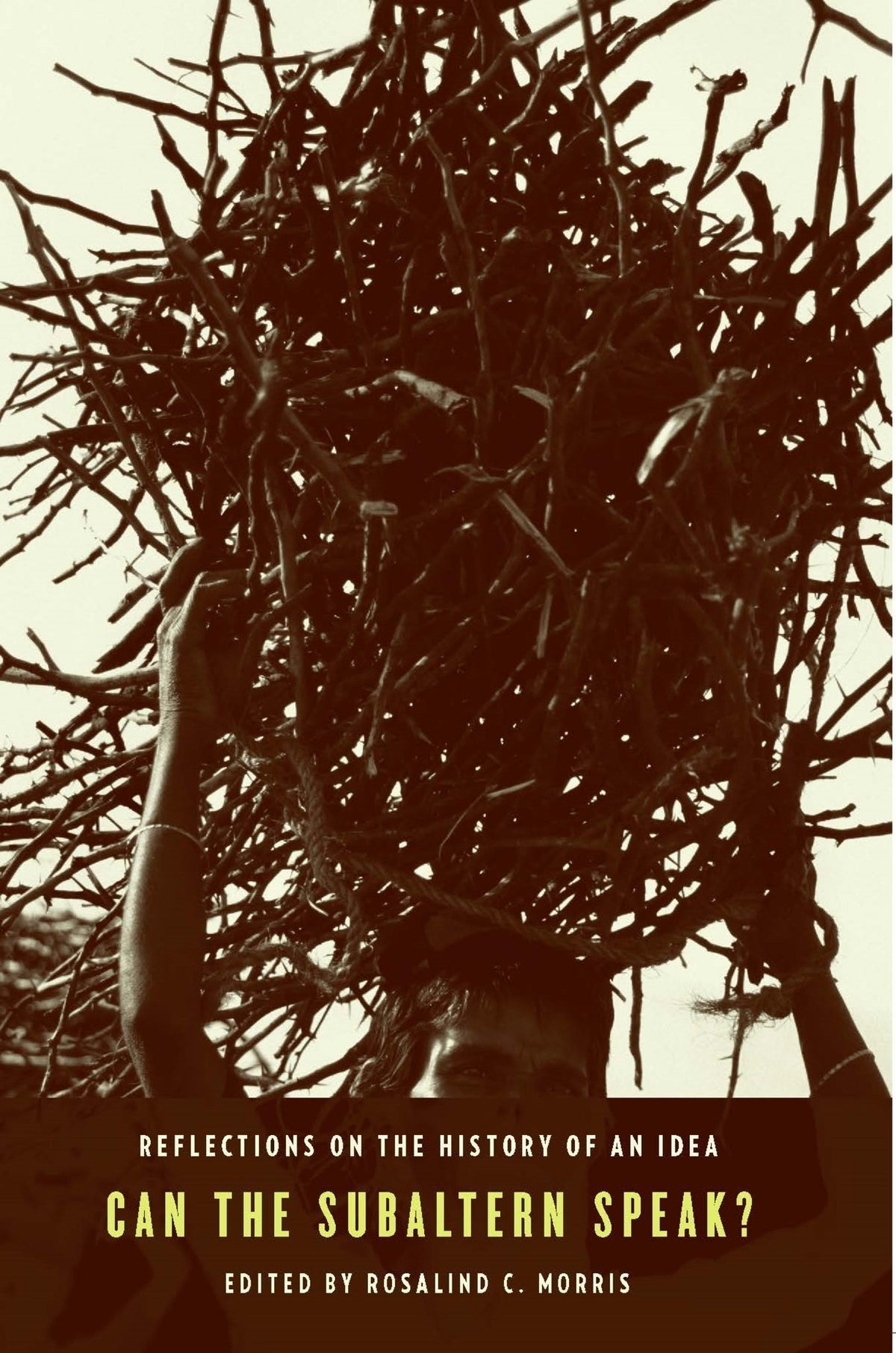 Cover image for Can the Subaltern Speak? ISBN 9780231143844