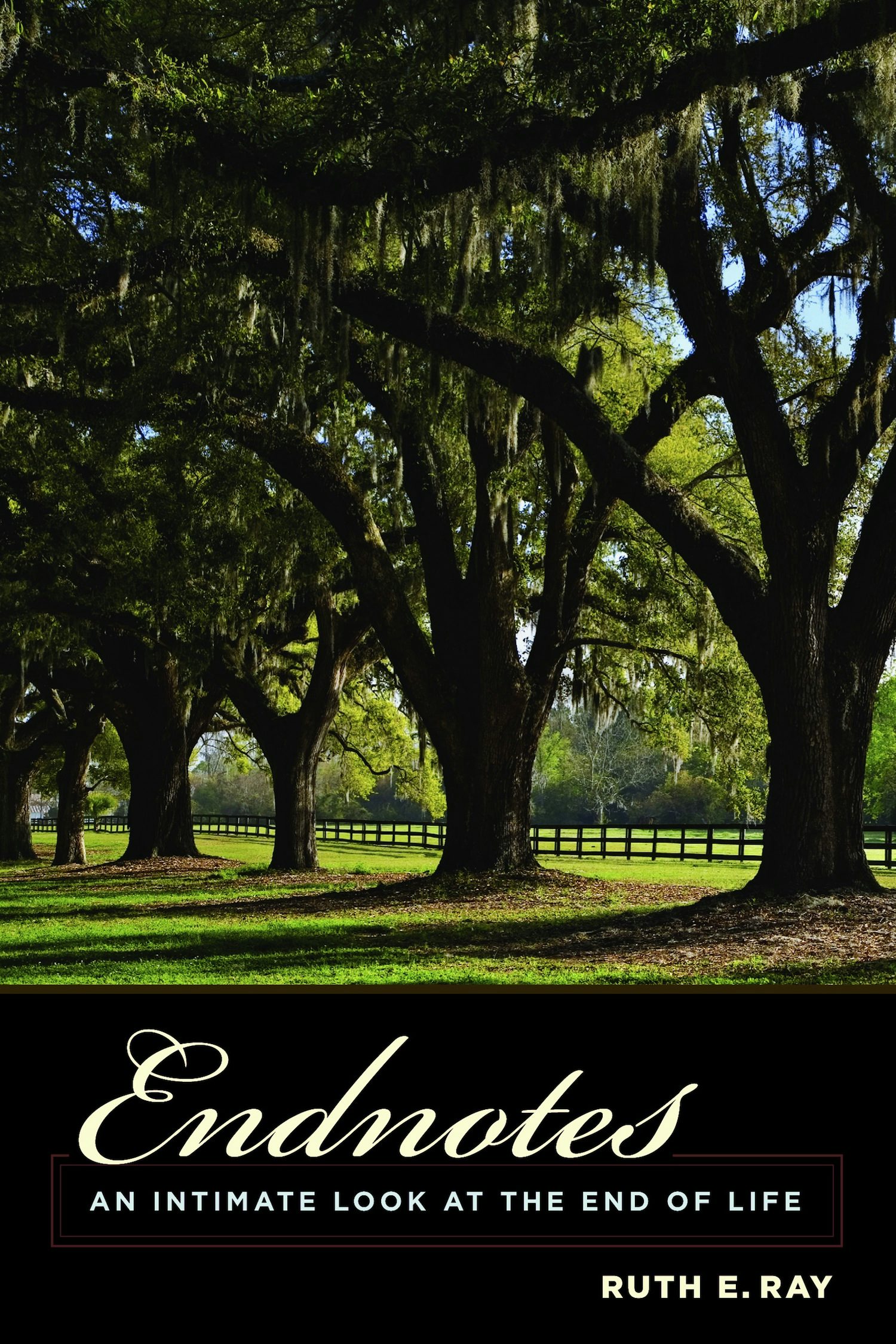 Book cover image for Endnotes ISBN: 9780231144612