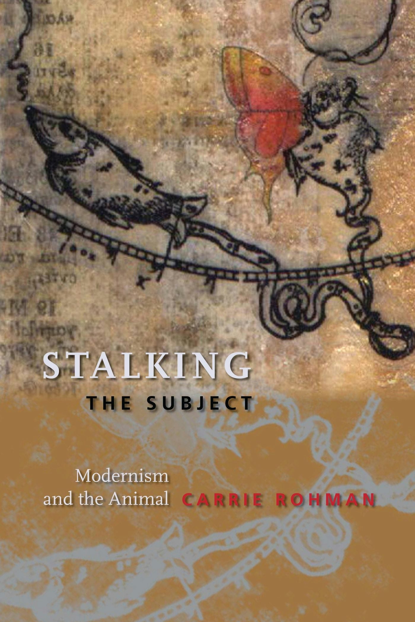 Book cover image for Stalking the Subject ISBN: 9780231145060