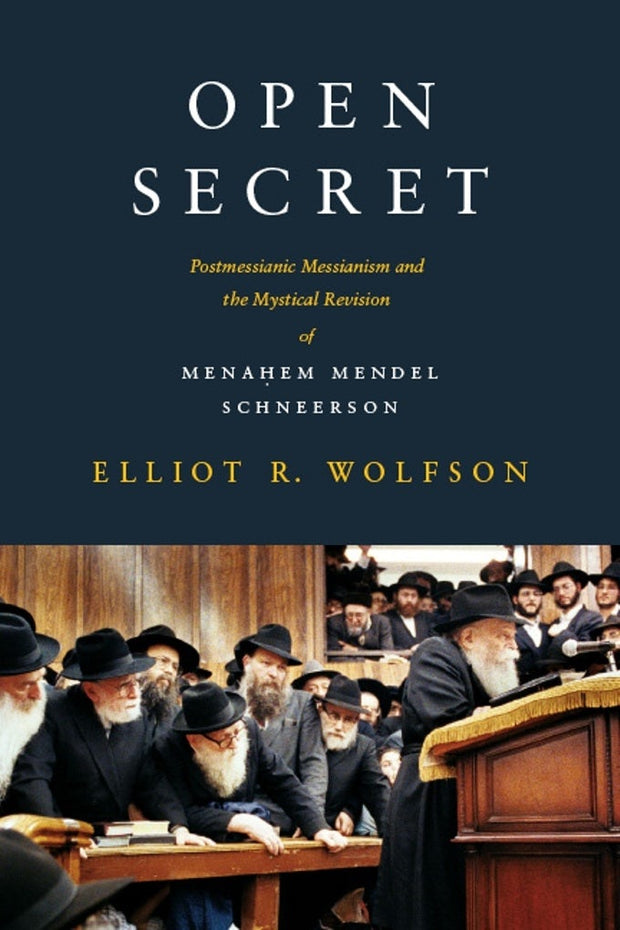 Cover image for Open Secret, isbn: 9780231146319