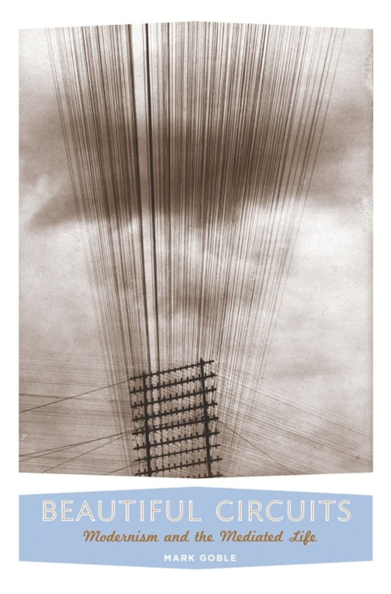 Cover image for Beautiful Circuits ISBN 9780231146708