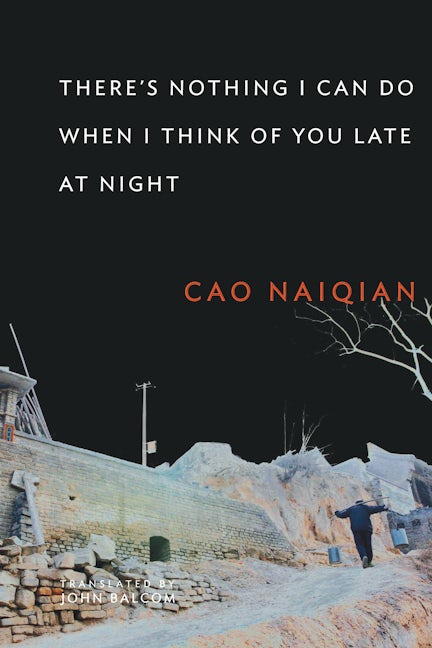 Book cover image for There’s Nothing I Can Do When I Think of You Late at Night ISBN: 9780231148108