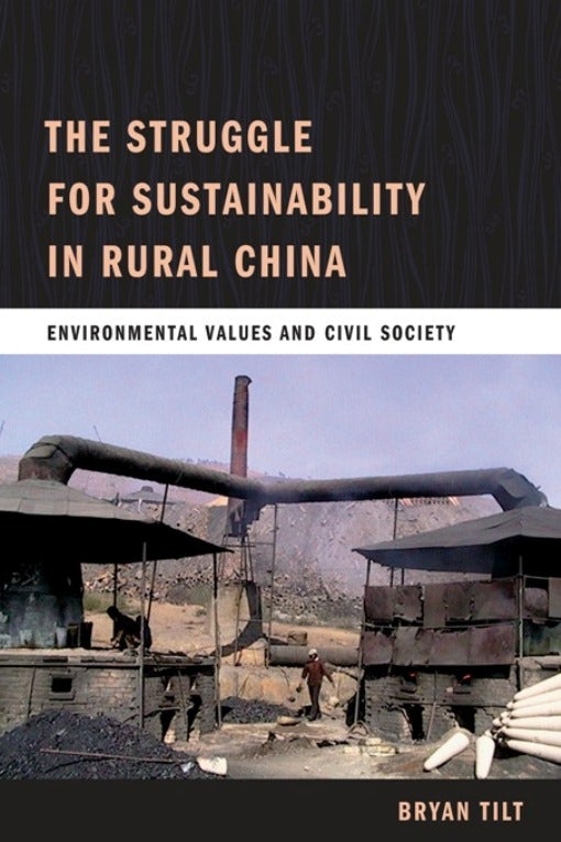 Book cover image for The Struggle for Sustainability in Rural China ISBN: 9780231150002