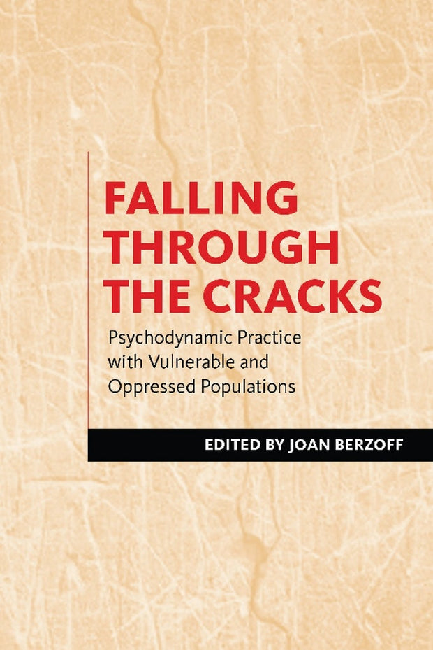 Cover image for Falling Through the Cracks, isbn: 9780231151085