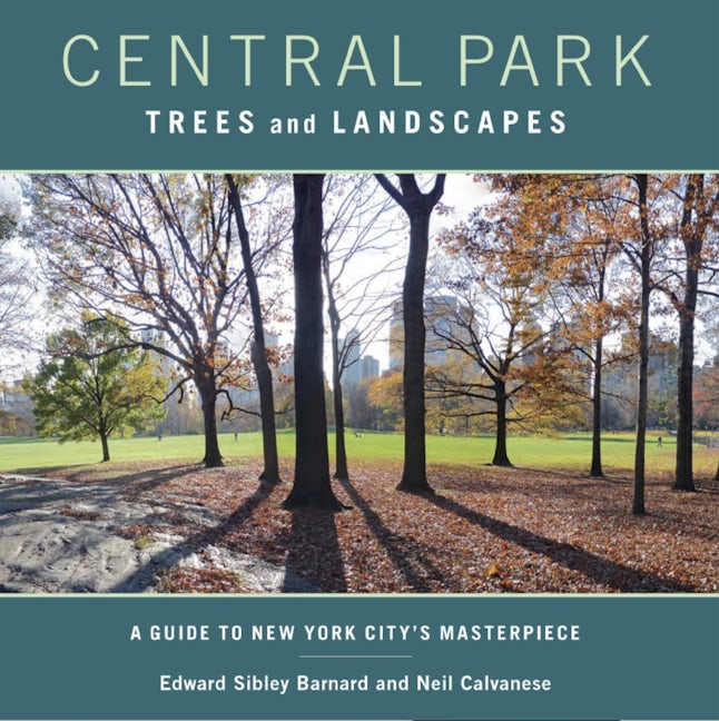Book cover image for Central Park Trees and Landscapes ISBN: 9780231152877