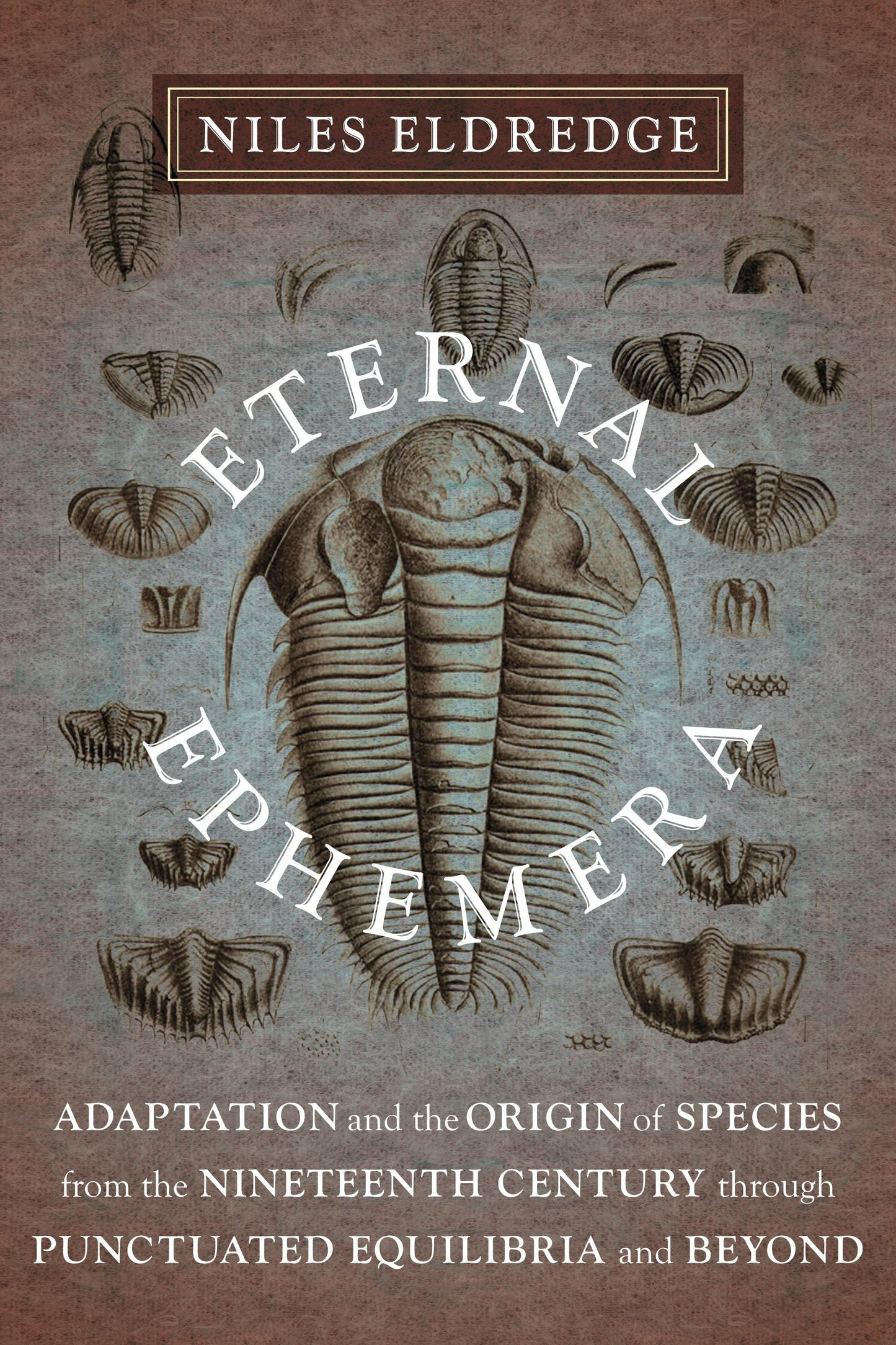 Book cover image for Eternal Ephemera ISBN: 9780231153171