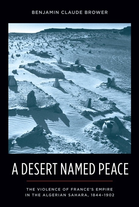 Book cover image for A Desert Named Peace ISBN: 9780231154925
