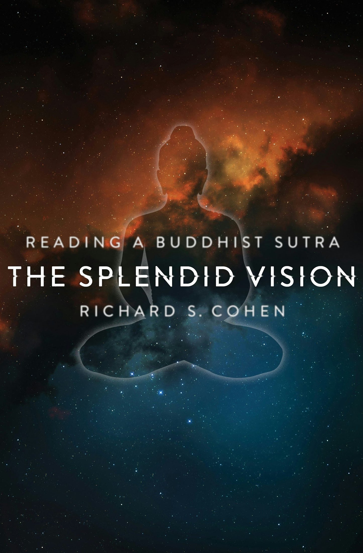 Book cover image for The Splendid Vision ISBN: 9780231156684