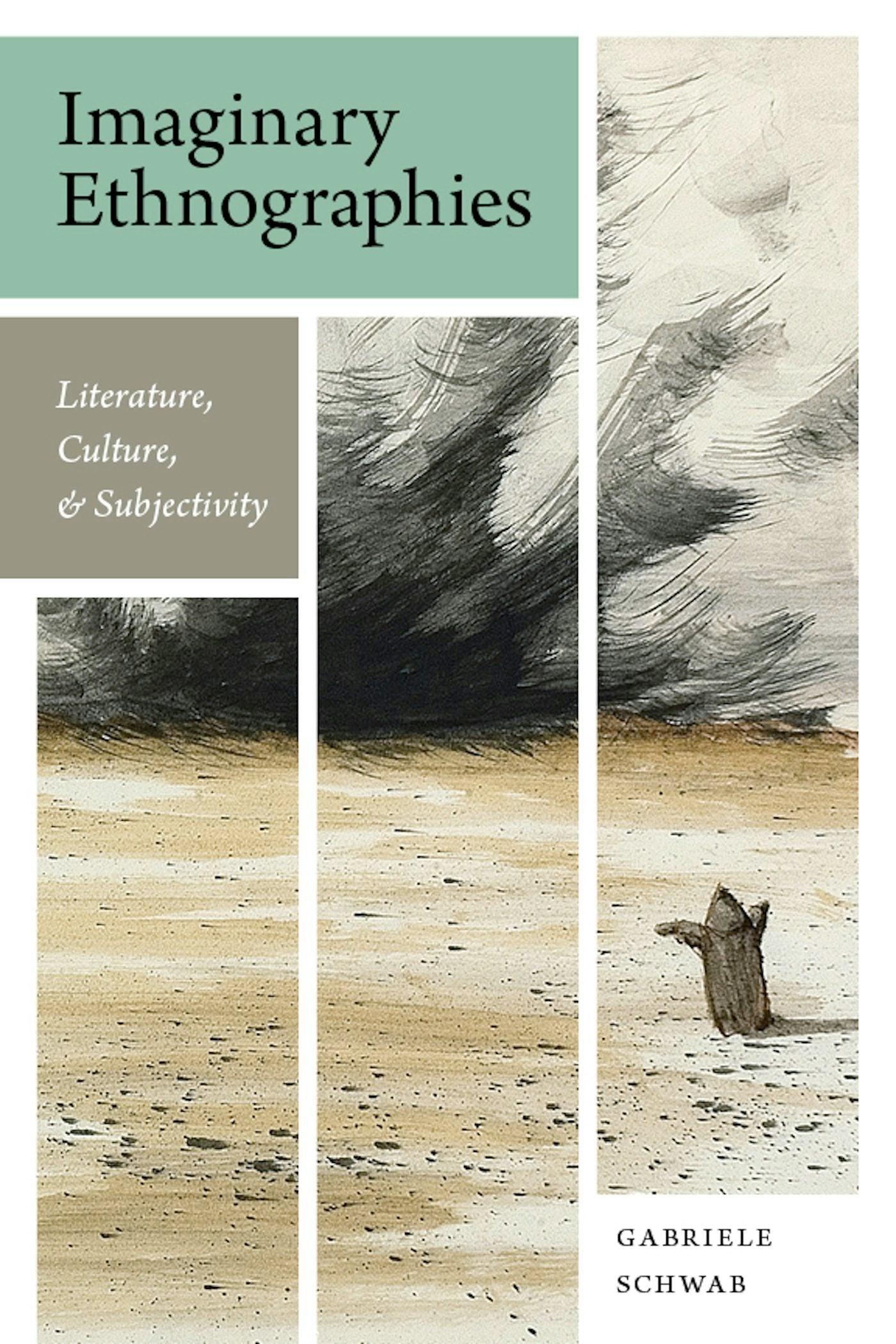 Book cover image for Imaginary Ethnographies ISBN: 9780231159487