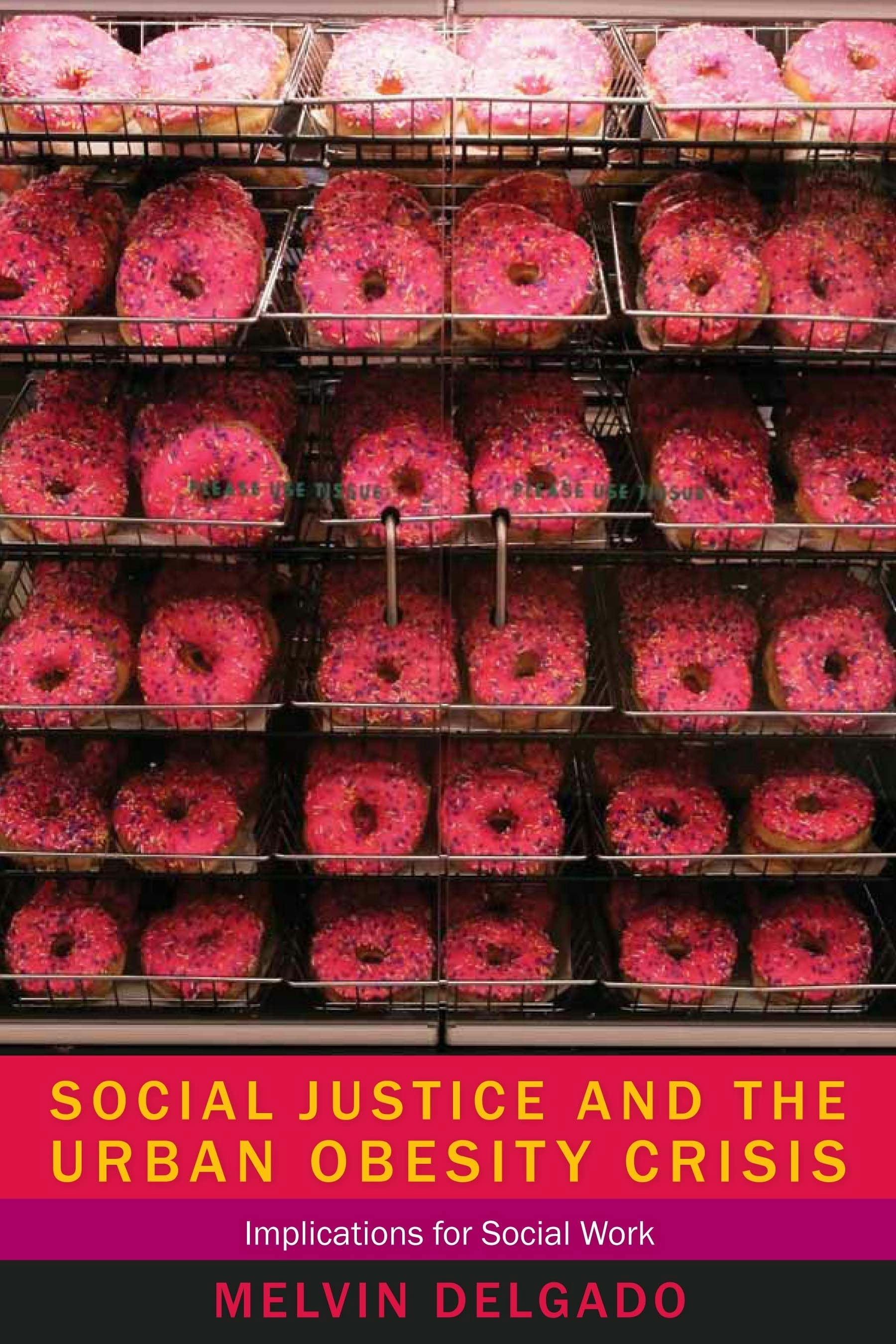 Book cover image for Social Justice and the Urban Obesity Crisis ISBN: 9780231160087