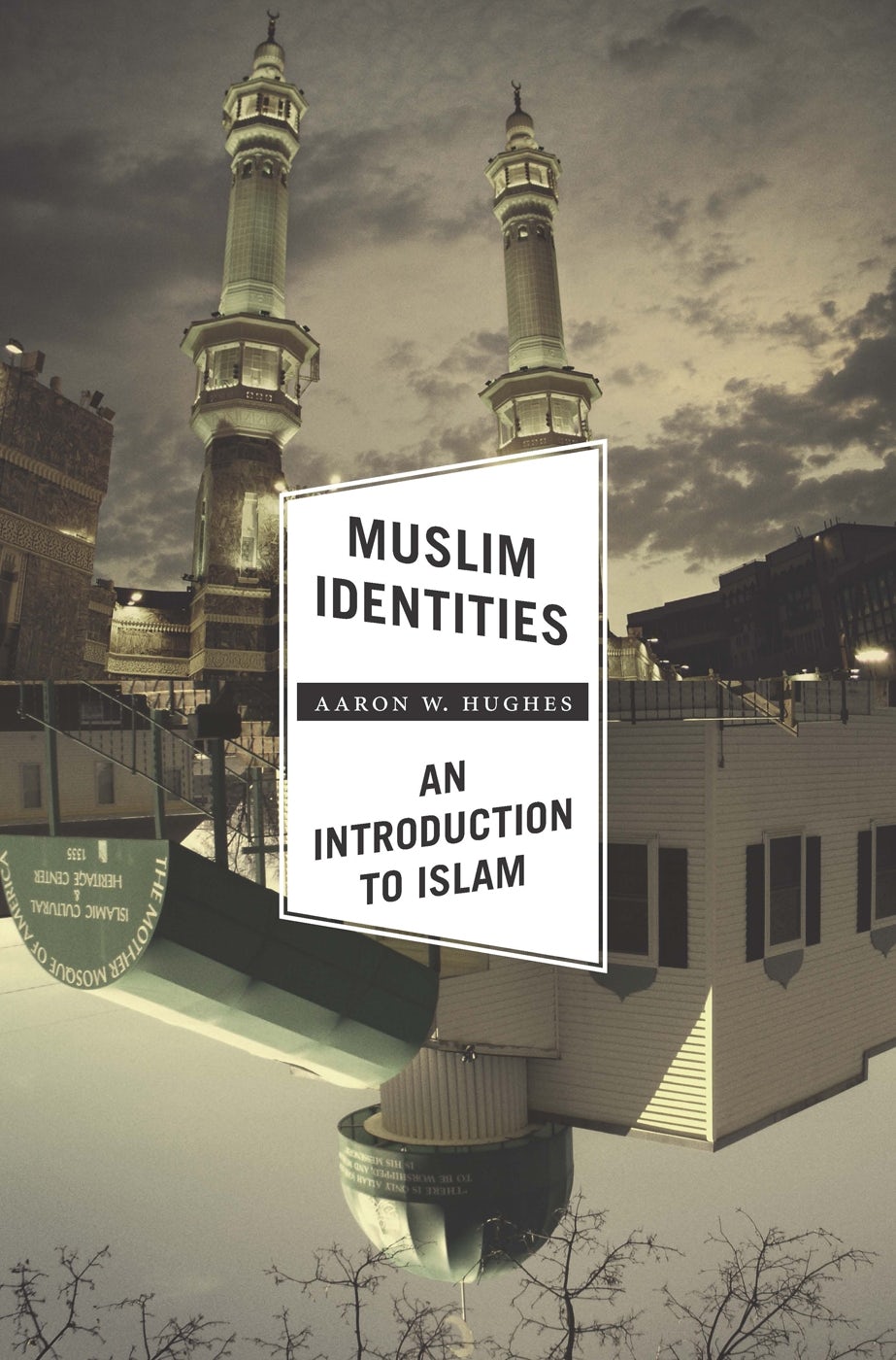 Book cover image for Muslim Identities ISBN: 9780231161466