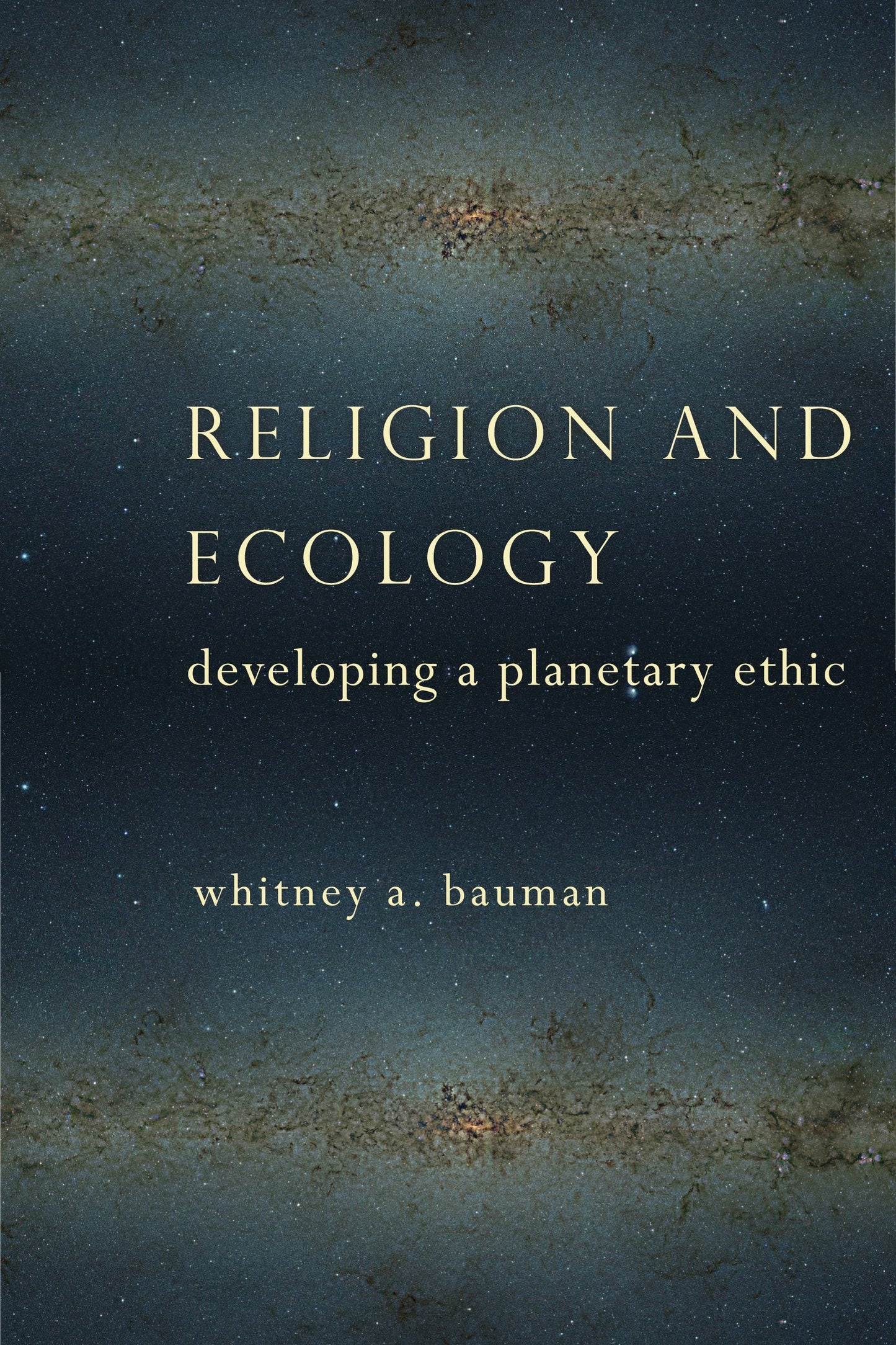 Book cover image for Religion and Ecology ISBN: 9780231163439