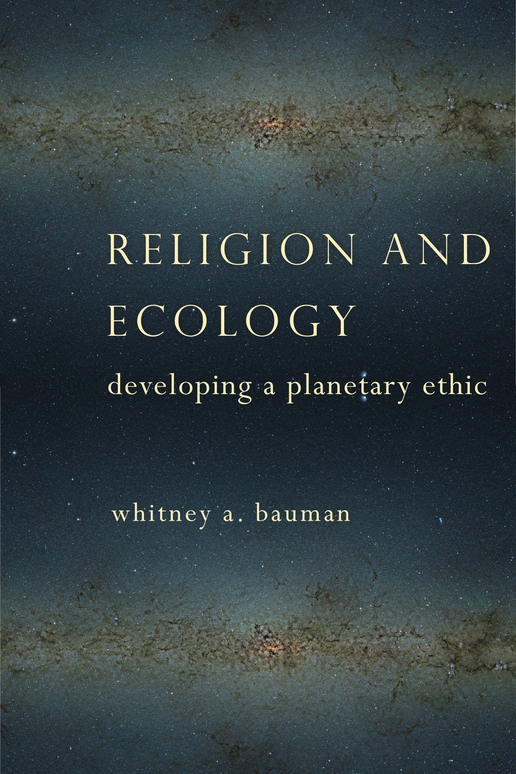Book cover image for Religion and Ecology ISBN: 9780231163439