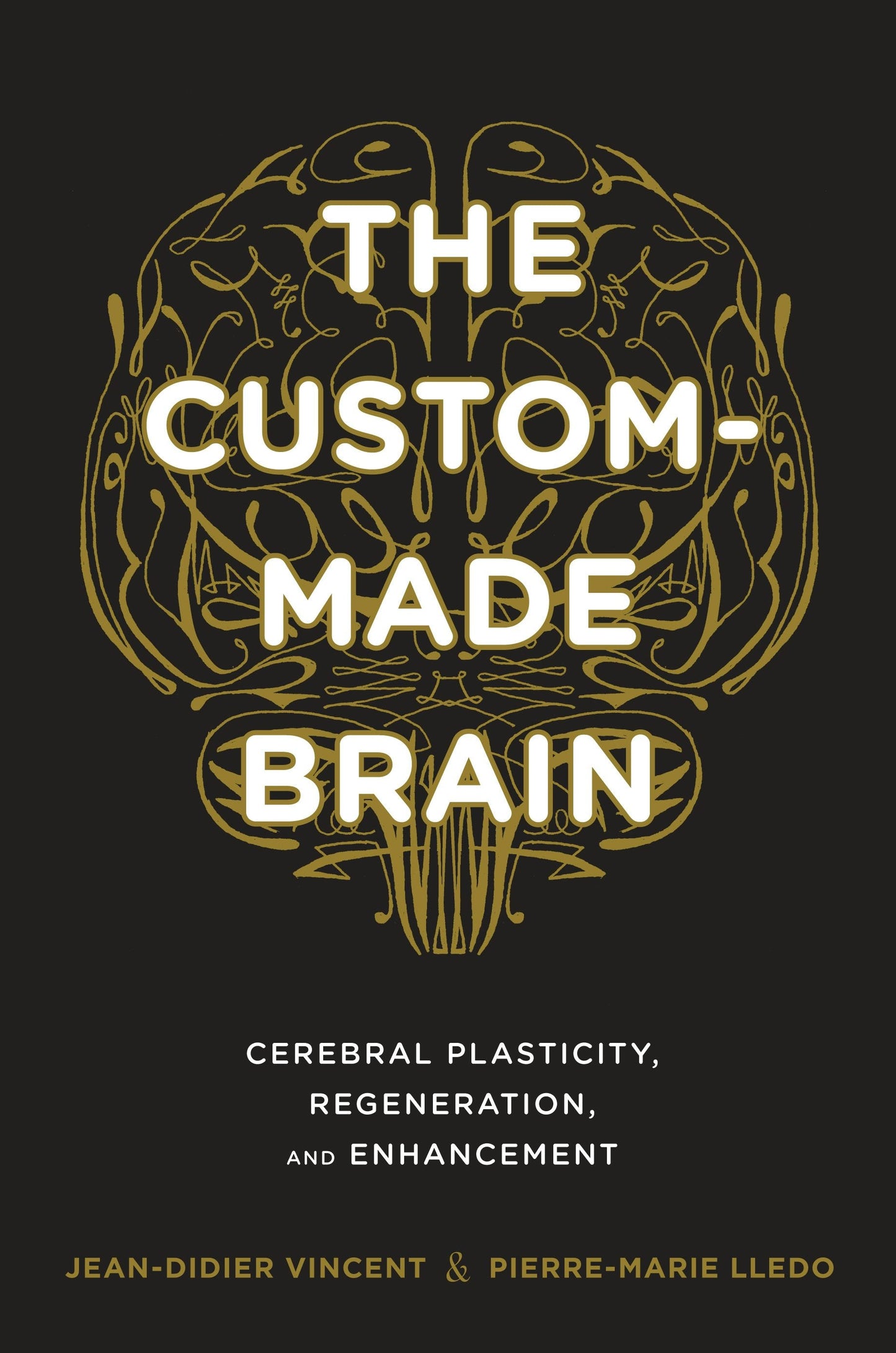 Book cover image for The Custom-Made Brain ISBN: 9780231164504