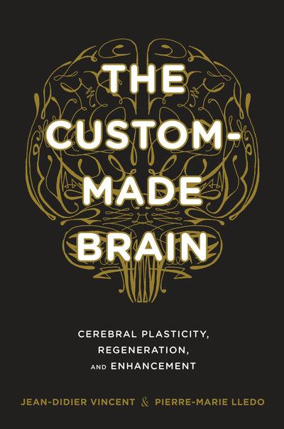 Cover image for The Custom-Made Brain, isbn: 9780231164504