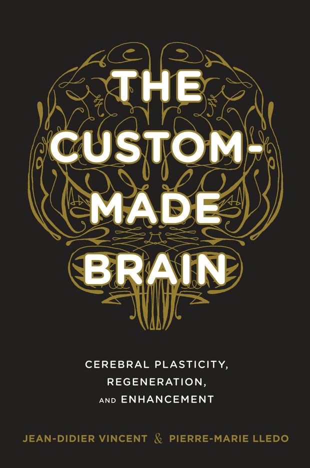 Cover image for The Custom-Made Brain, isbn: 9780231164504