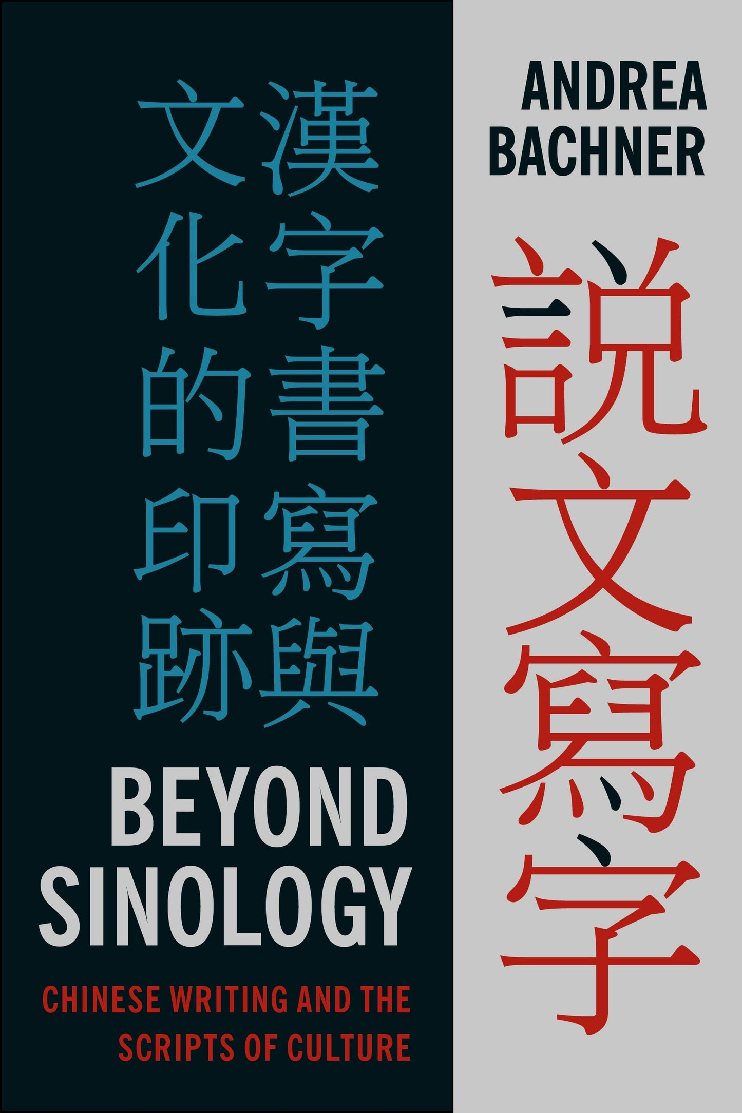 Book cover image for Beyond Sinology ISBN: 9780231164528
