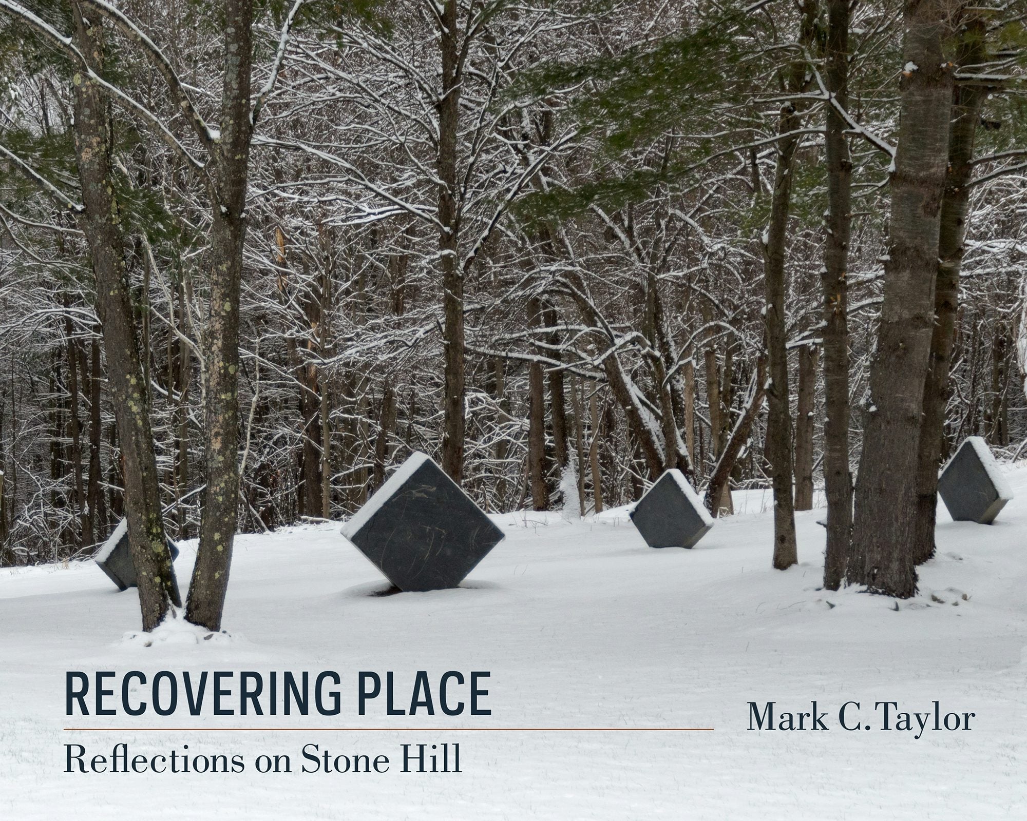 Book cover image for Recovering Place ISBN: 9780231164986