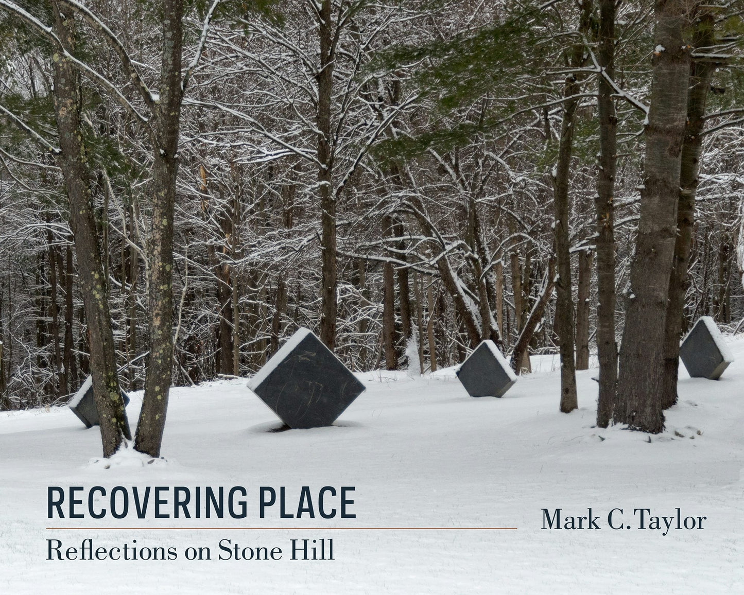 Book cover image for Recovering Place ISBN: 9780231164993