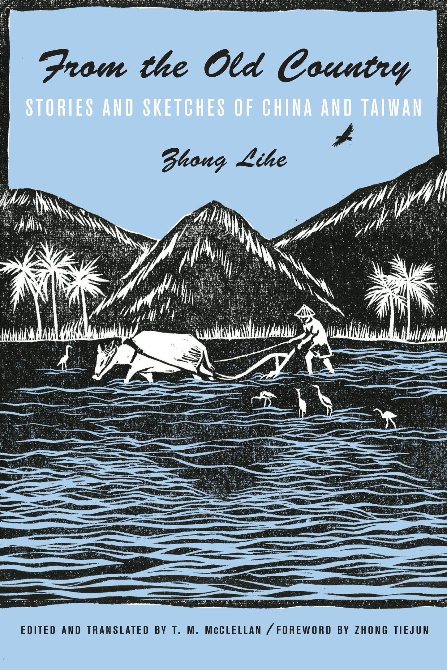 Book cover image for From the Old Country ISBN: 9780231166317