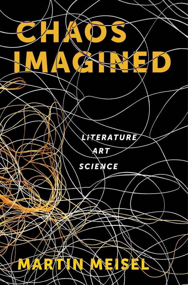 Cover image for Chaos Imagined, isbn: 9780231166324