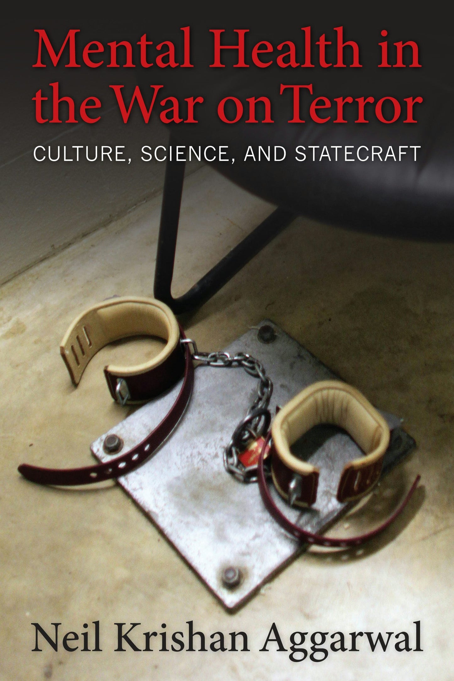 Book cover image for Mental Health in the War on Terror ISBN: 9780231166645