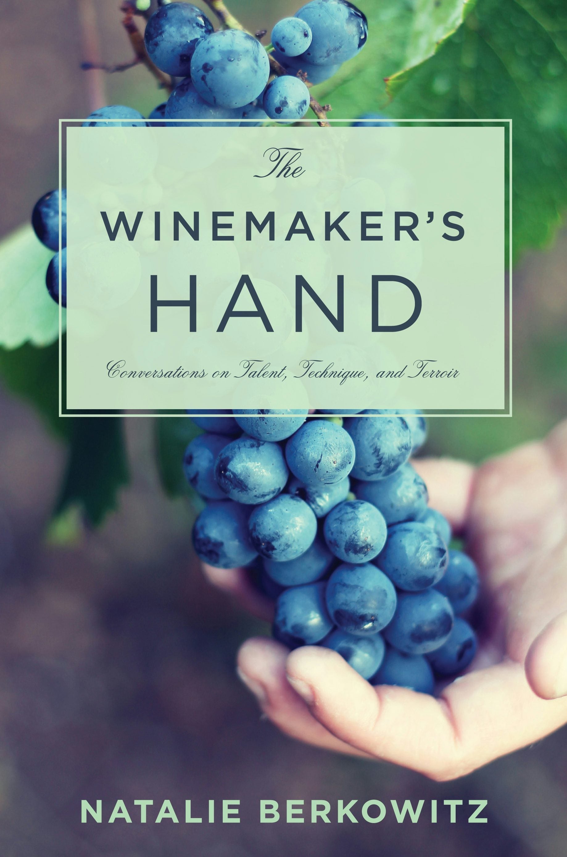 Book cover image for The Winemaker's Hand ISBN: 9780231167567