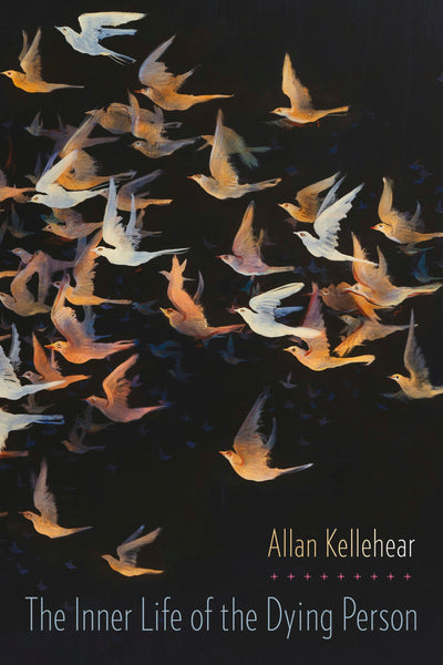Cover image for The Inner Life of the Dying Person, isbn: 9780231167857