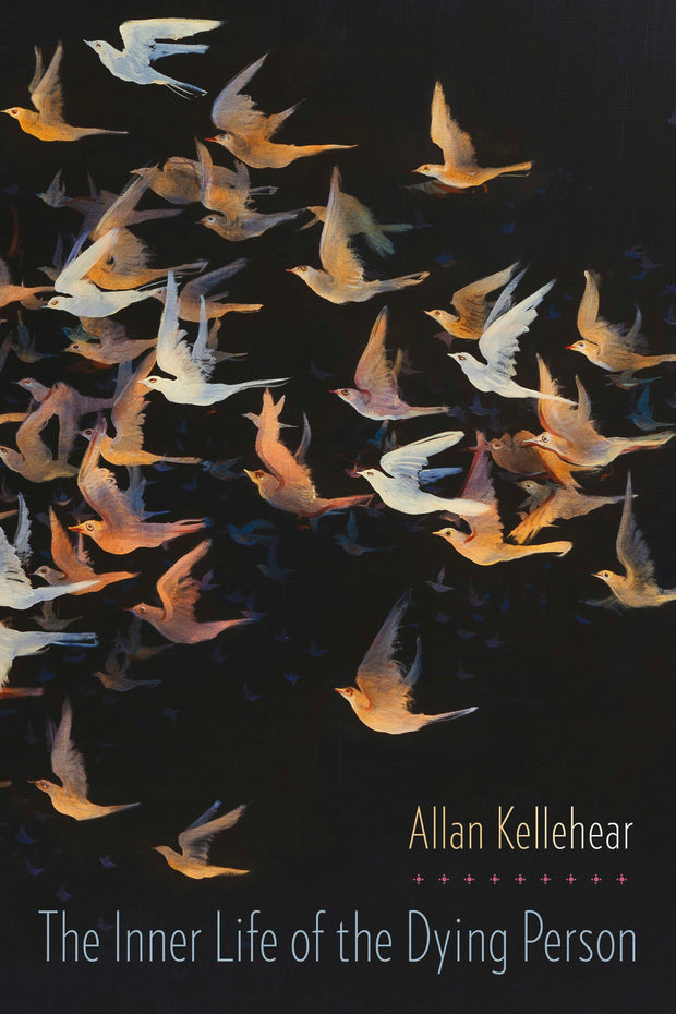 Cover image for The Inner Life of the Dying Person, isbn: 9780231167857