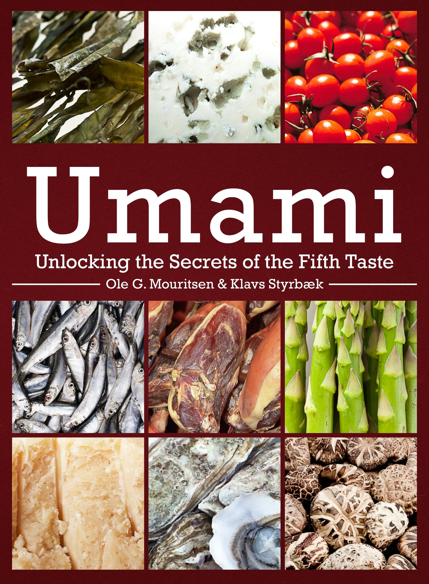 Book cover image for Umami ISBN: 9780231168915