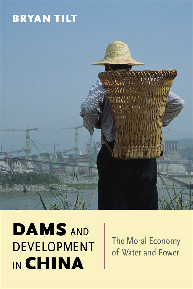 Cover image for Dams and Development in China, isbn: 9780231170116