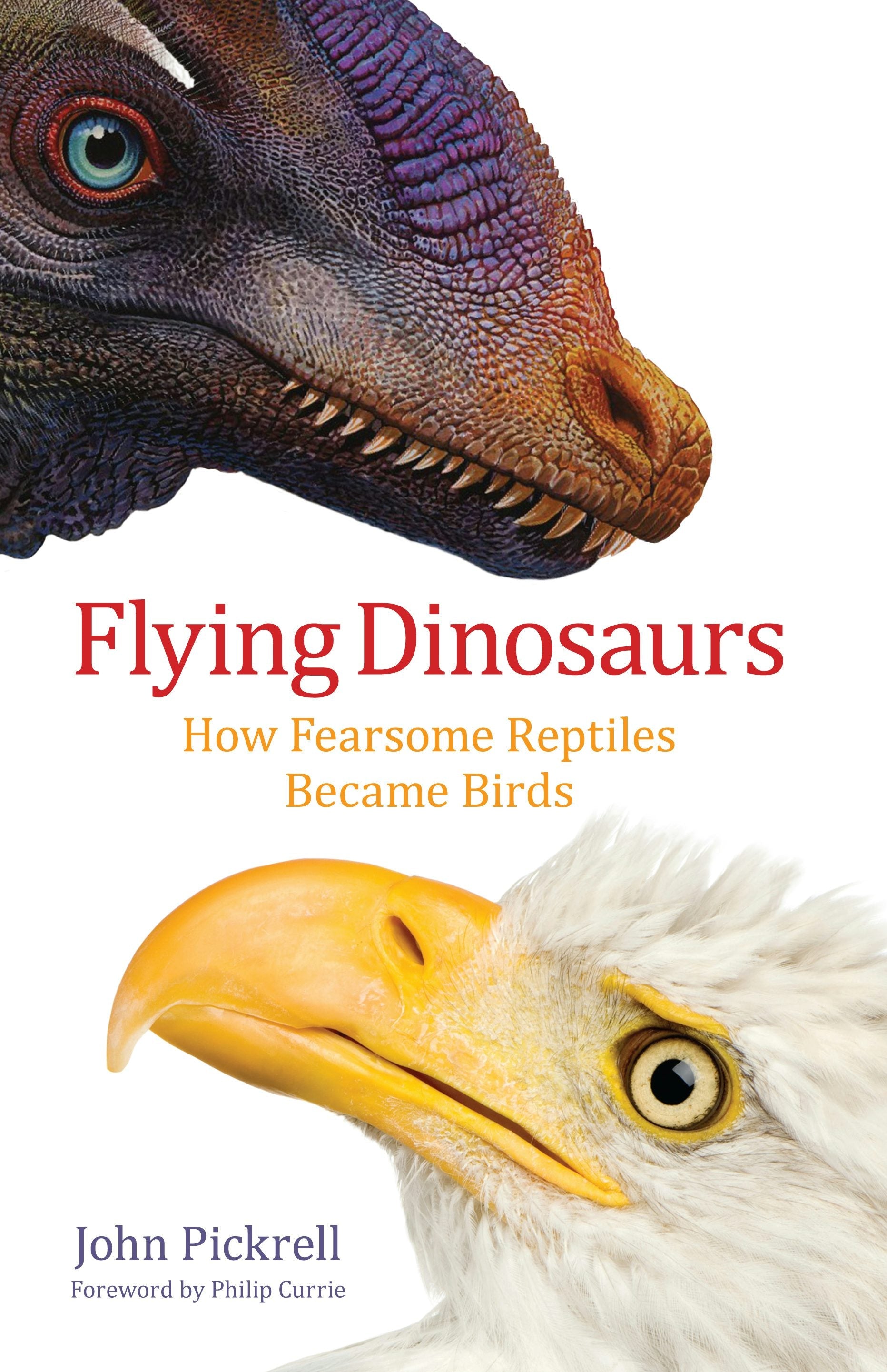 Book cover image for Flying Dinosaurs ISBN: 9780231171786