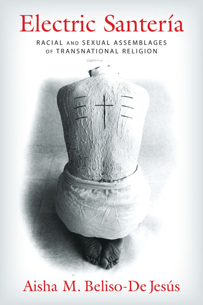Cover image for Electric Santería, isbn: 9780231173179